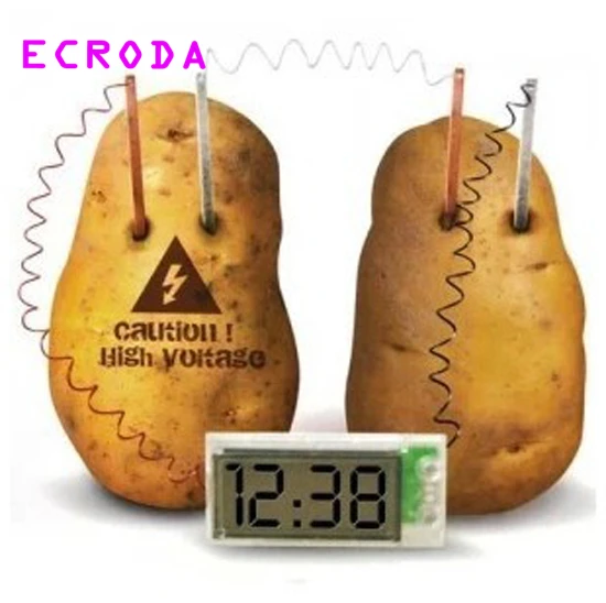 

Potato Clock Green Science Project Experiment Kit kids Lab HomeSchool Curriculum DIY Home School Toy Mr Spud Head Educational