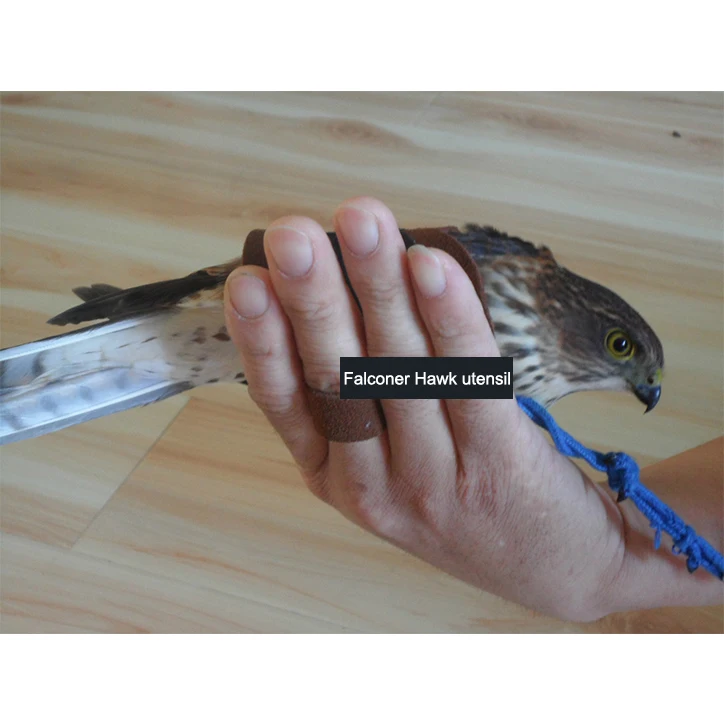 Жилет из натуральной кожи для маленьких охотников|falconry| |