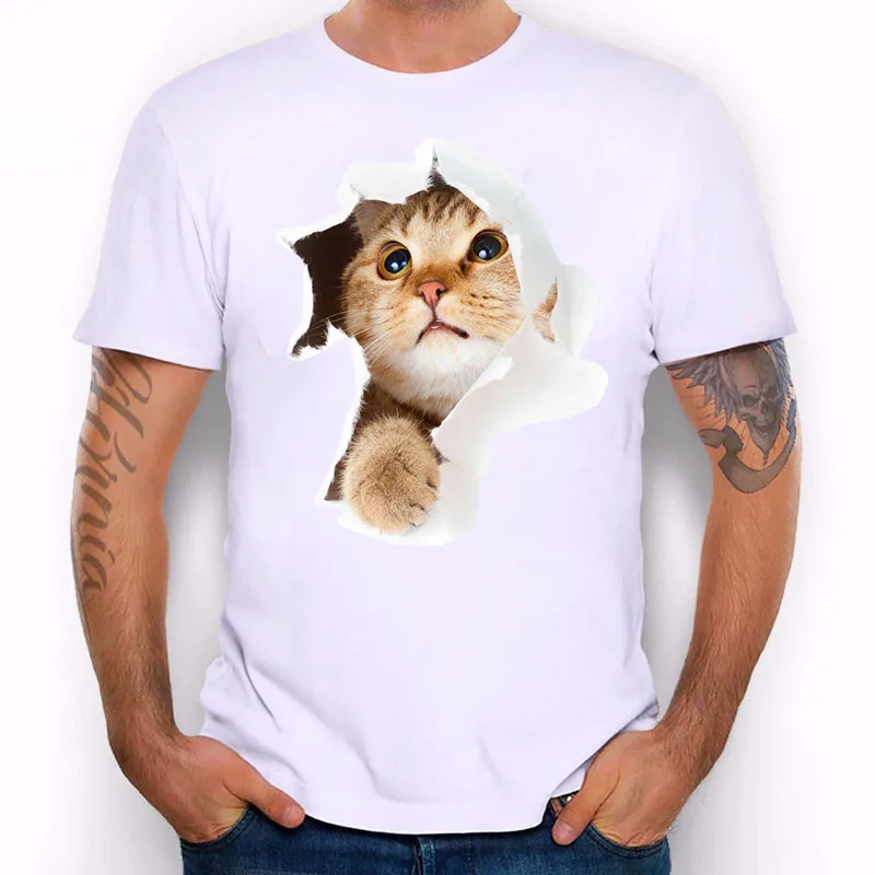 cat-12