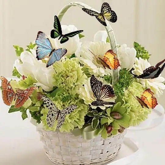 Butterflies Flowers Basket