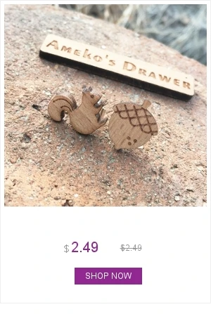 dianxiaobao