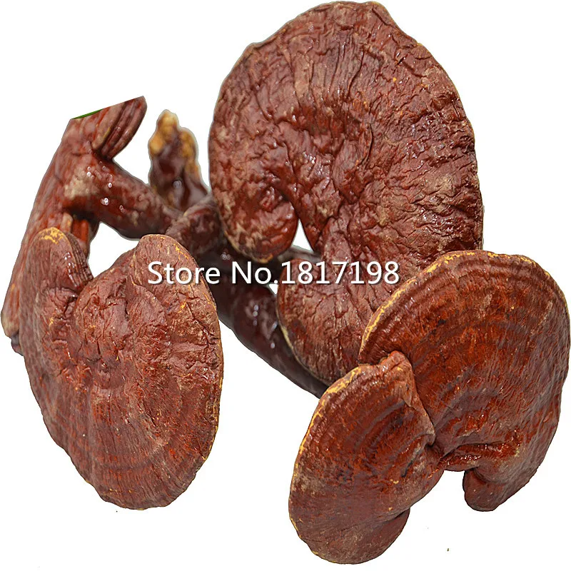 1000g Dried Lingzhi Reishi Mushrooms 10cm Ganoderma Lucidum Chinese
