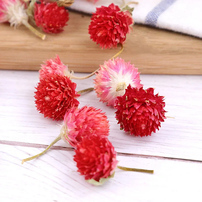 Сушеный цветок gompphrena Globosa натуральный шар Amaranth для ювелирных изделий из смолы