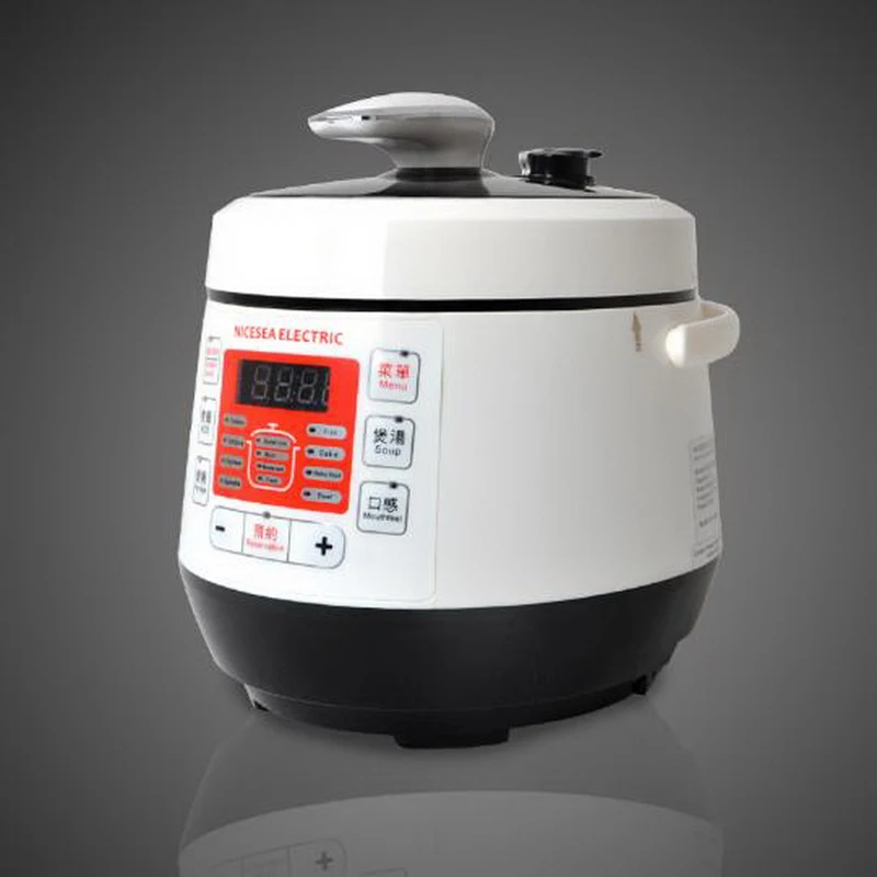 110V /Automatic pressure control system/ Humanized design /Multi function Intelligent electric
