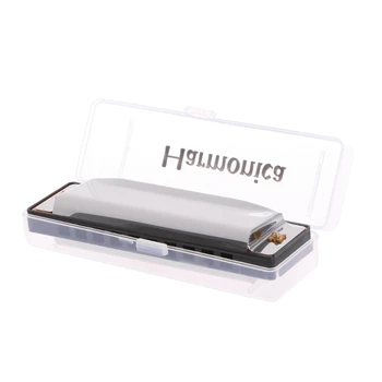 

Blues Harmonica 10 Holes Key of C Musical Instrument Stainless Steel with Case