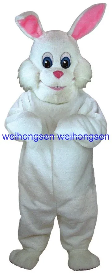 0146-1xBunny Rabbit