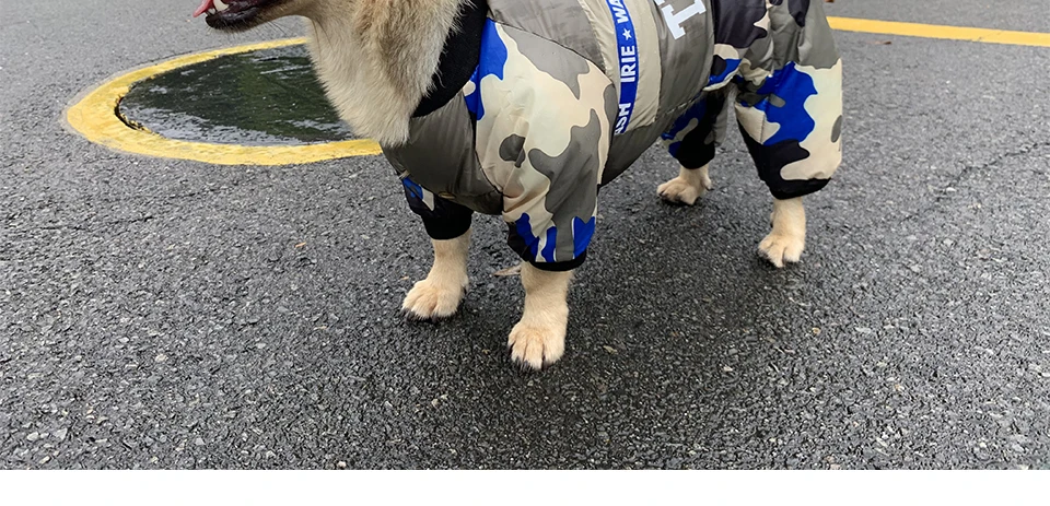 Dog Winter Clothes Coat Dogs Pets Clothing Cotton Coat Fashion Coats Pet Jacket Outfits For French Bulldog Chihuahua Small Puppy  (2)