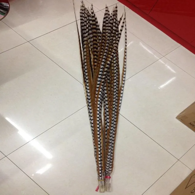 

Hot sales! Hot 20pcs Rare 180cm long Natural copper chicken feathers decoration diy collection stage performances