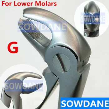 High Quality Stainless Steel Dental Adult Tooth Extraction Plier For Lower Molars Dental Orthodontic Surgery Forcep medical tooth instrument material multifunction plier dental forcep set adult children mouth care animal tooth remove extraction