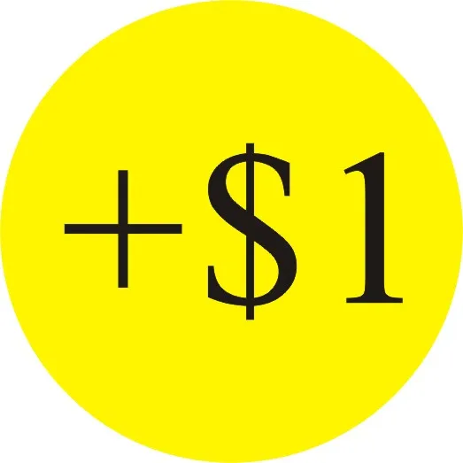 Extra Fee/the balance for your payment |