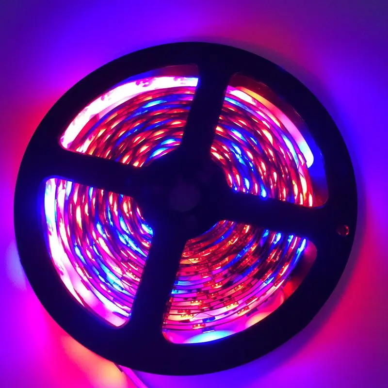 

LED Grow Lights DC12V Red Blue Growing Lamp LED Flexible Strip 5050 for Greenhouse Hydroponic Plant 5m/lot