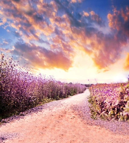 a path in the clouds supertux