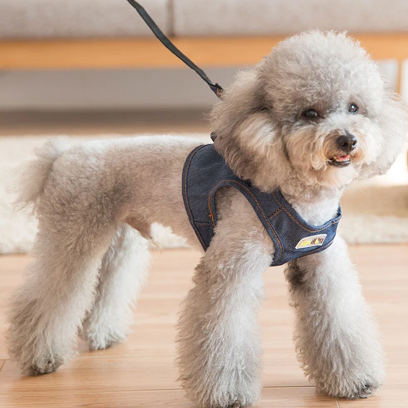 dog clothes (6)