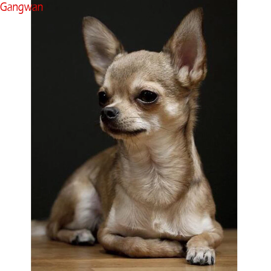 

5d Diamond Embroidery chihuahua Dog 3d Diamond picture Cross Stitch kits Mosaic Painting Rhinestones Home decor Accessories gift