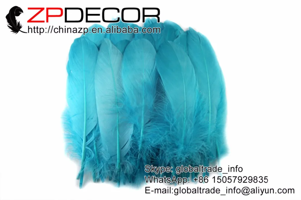 blue goose feathers (3)