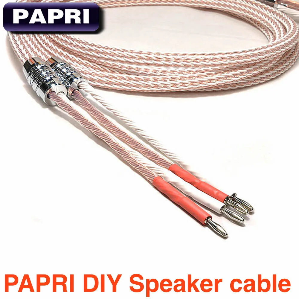 Buy PAPRII DIY 1Pair 12TC Teflon OCC Speaker Cable