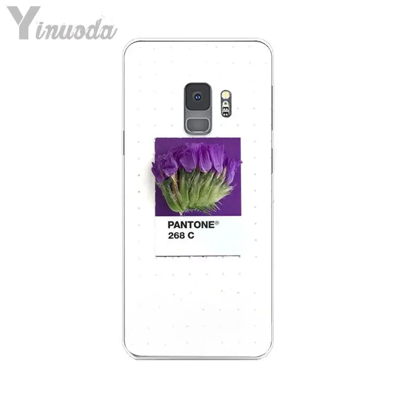 Pantone Candy Color Flower