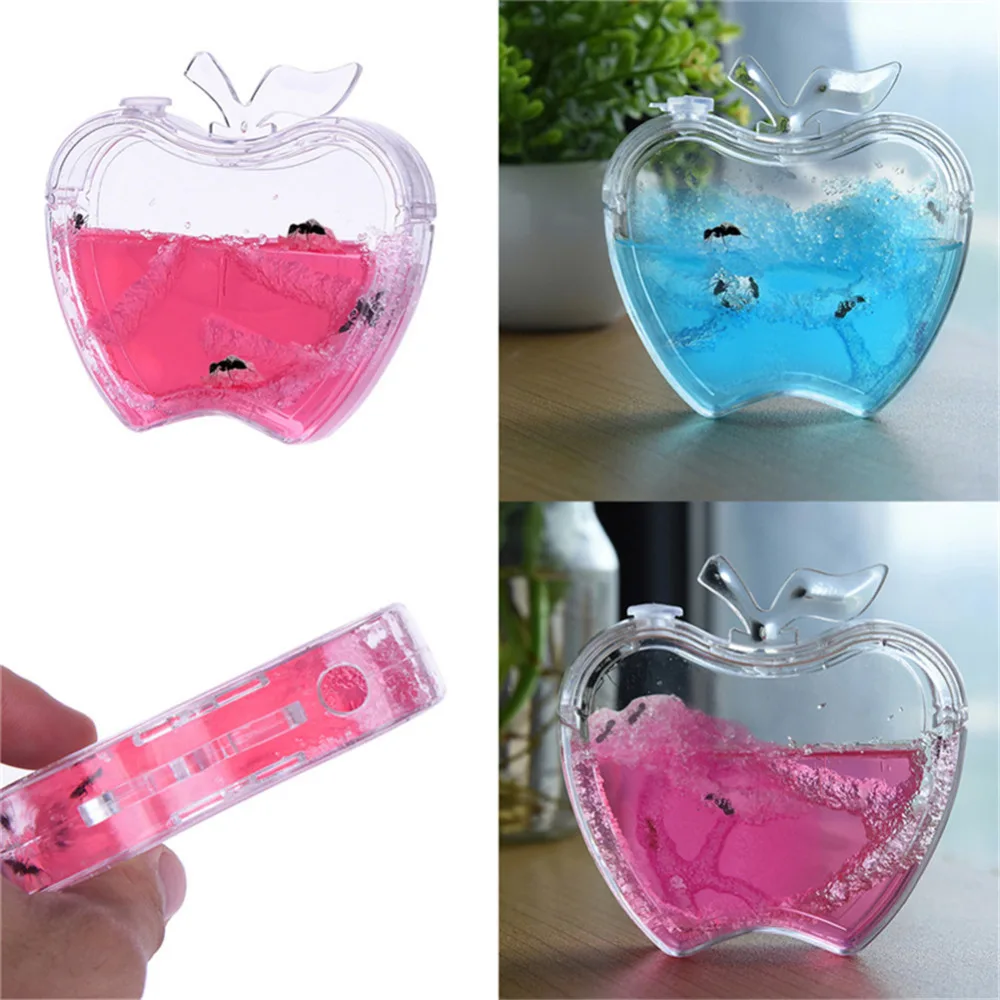 

2016 New Arrival 1pcs Apple Shape Natural Ant Home Farm Decoration Accessories Cartoon Mini Ant Maze Toys for Kids Children