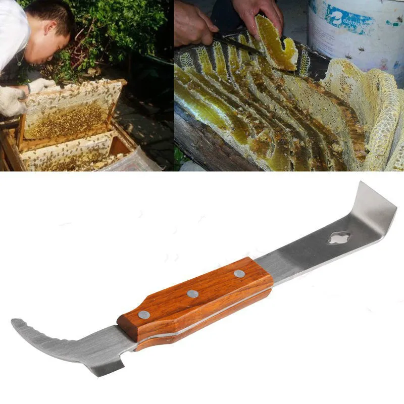 Stainless steel Multifunctional Bee tools starting scraper