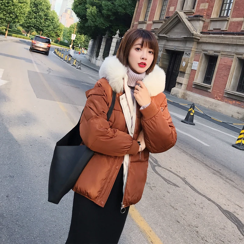 QQ20180625010251