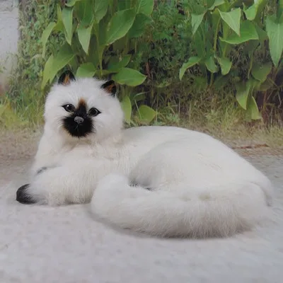 Модель милого лежащего кота 30x21x16 см модель из полиэтилена и пуха кошки реквизит