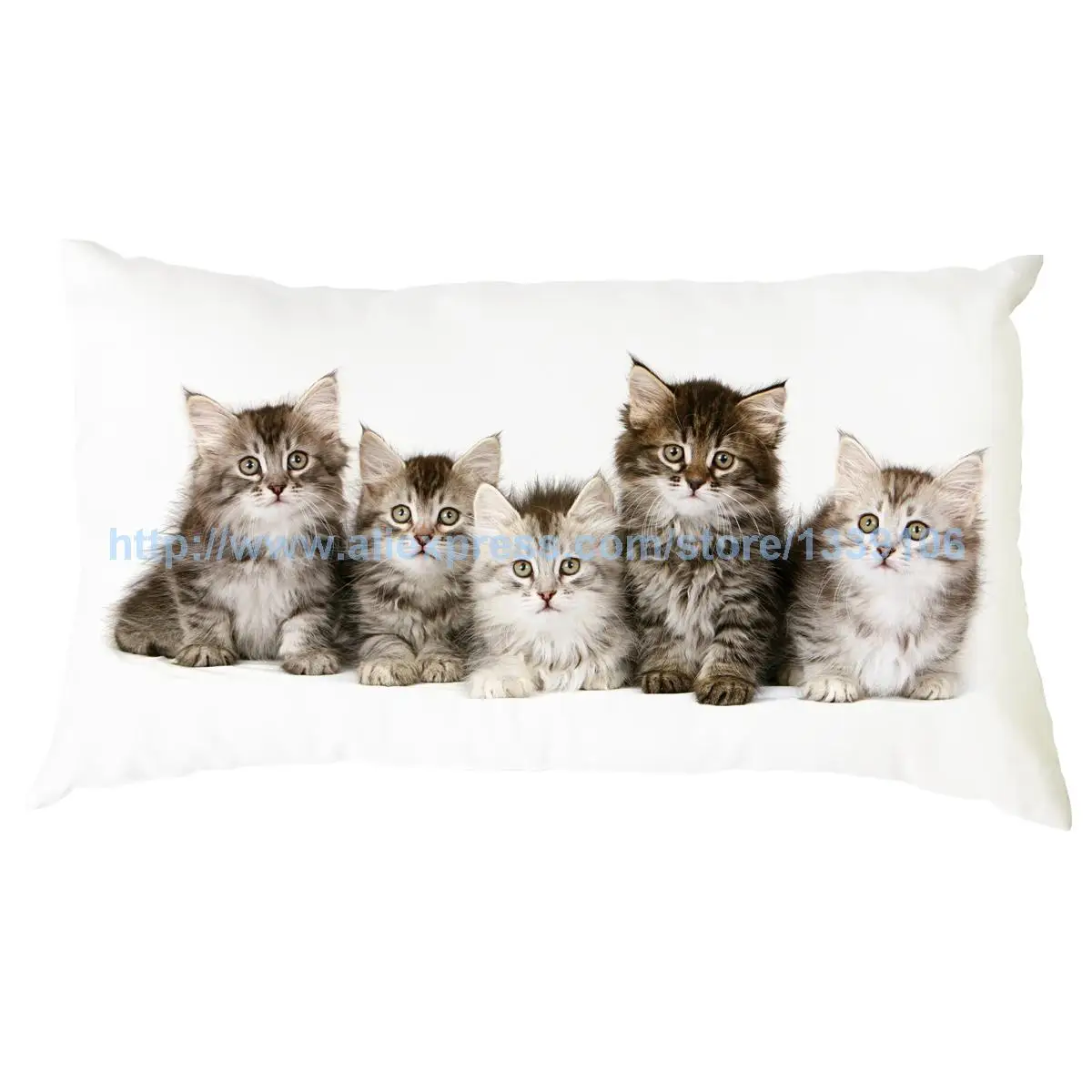 30x50cm Lovely Cats Upon the Pillow Custom Sofa Chair Back Cushions