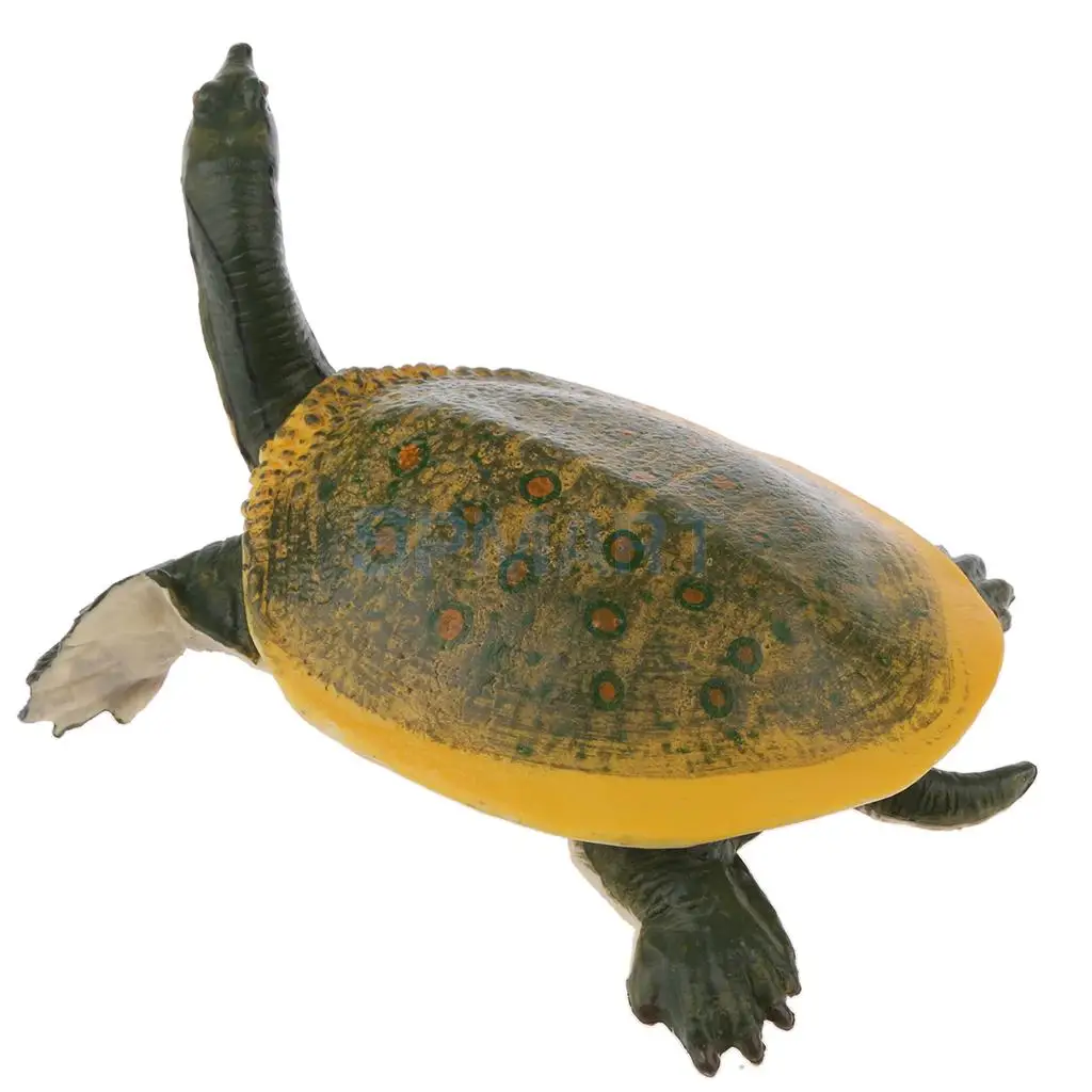 Animals Figure Toys Sea Soft-shelled turtle Animals Model Aquarium Toys Realistic Wild Pastic Figurine Animal Developmental Toy