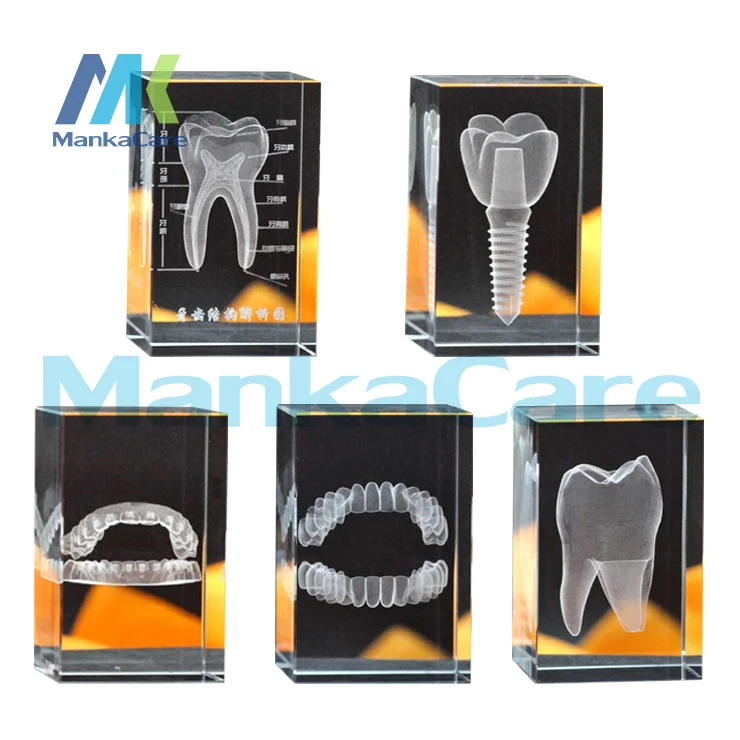 3d-tooth-model-clear-crystal-stand-with-led-lamp-dental-oral-souvenir-gift-decorarion-laser-etched-teeth-crystal-glass-cube