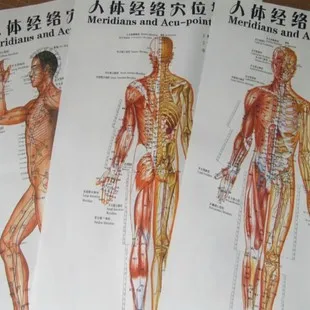 3/7 шт. средства ухода за кожей акупунктурные точки Диаграмма/человека «Меридиан» кишки карта/Скелет человека Рисунок/тела дайджест карта/голова глаза и уши для массажа ног