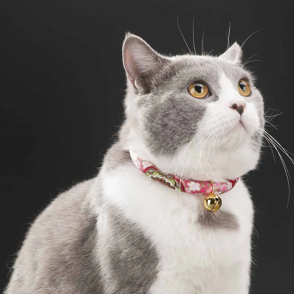 HTB1.O9wQVXXXXXKXFXXq6xXFXXXO