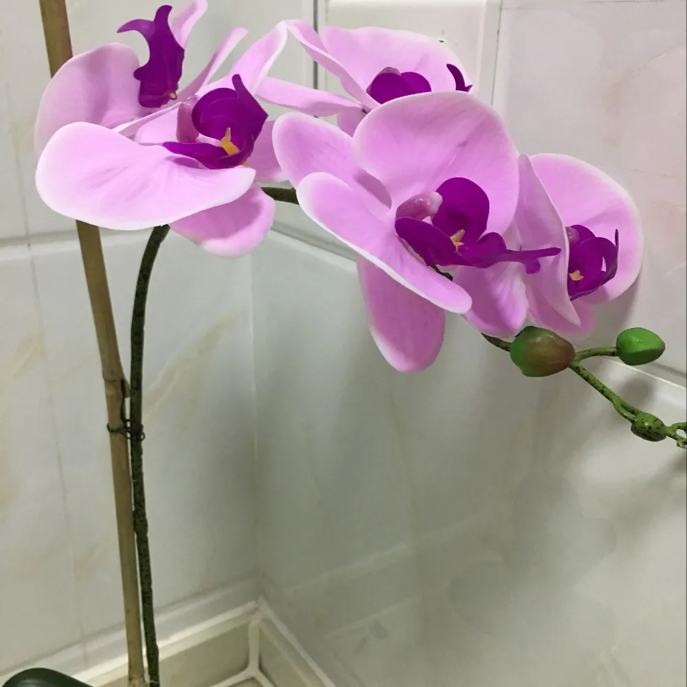 QQ20180120153512_