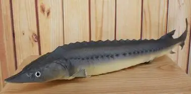 sturgeon plush