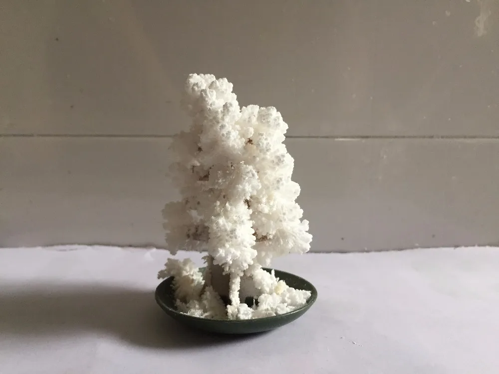 

2019 10x6cm White DIY Paper Magical Grow Christmas Trees Magic Growing Tree Arvore Magica Japan Science Toys For Children 50PCS