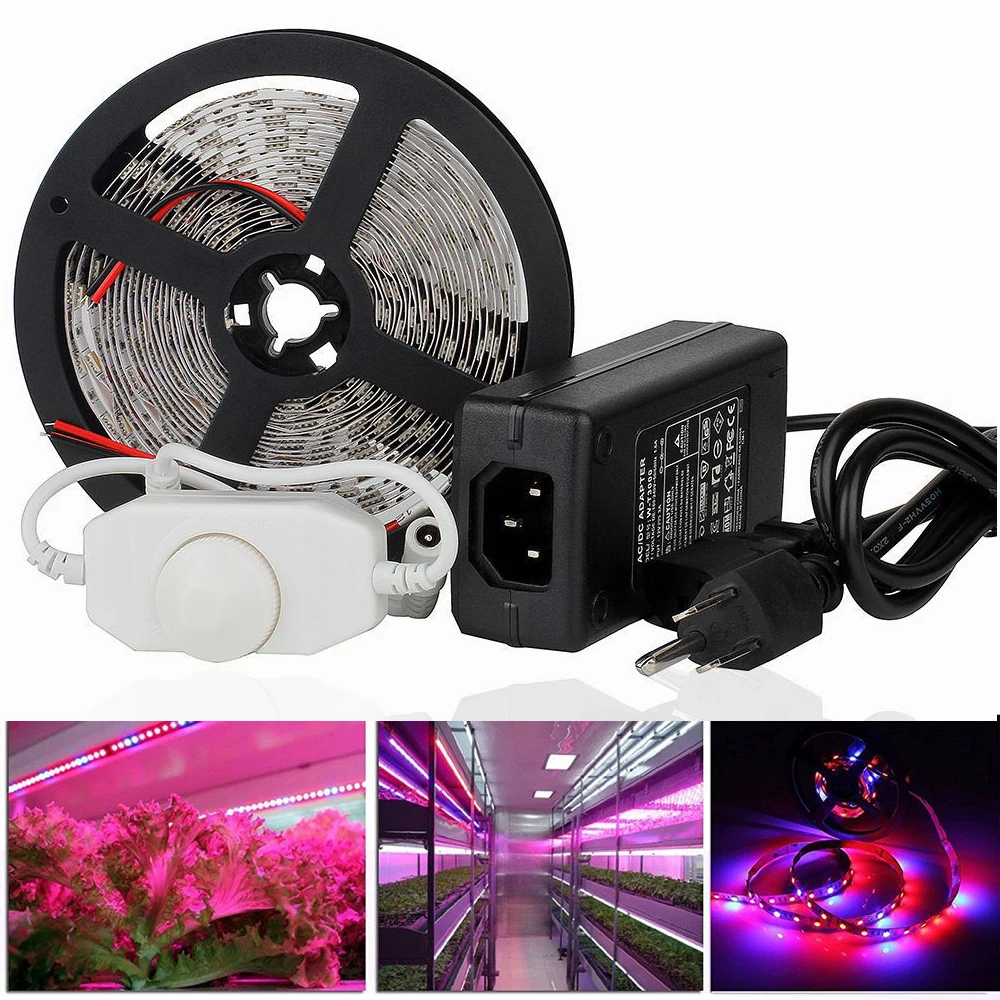 

Plant Grow light Full Spectrum LED Strip Flower phyto lamp 1m 5m Red blue 3:1 4:1 5:1 7:1 Greenhouse Hydroponic + dimmer + Power