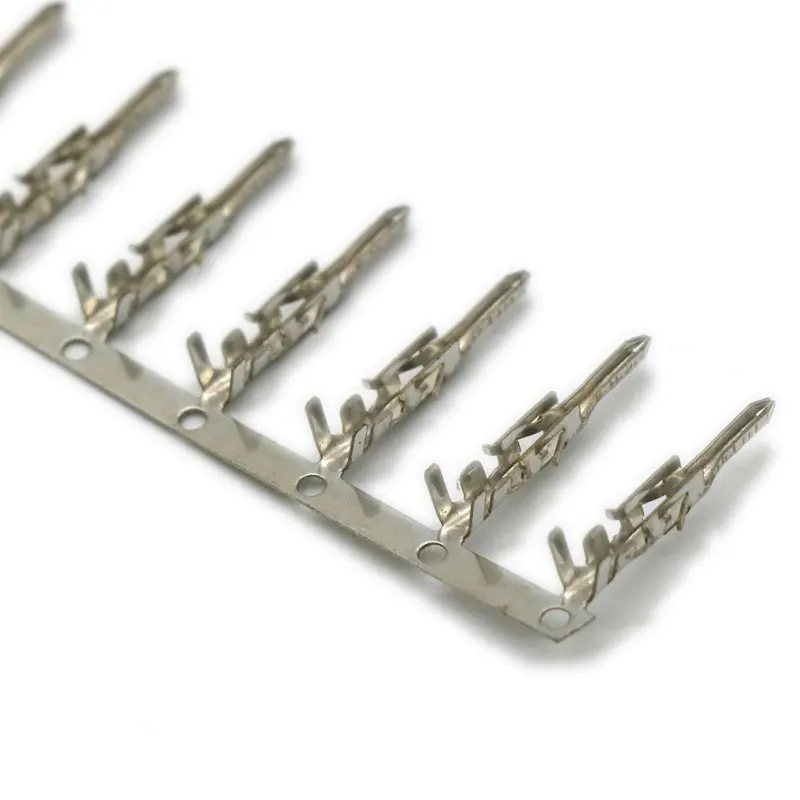 5559-terminal-3