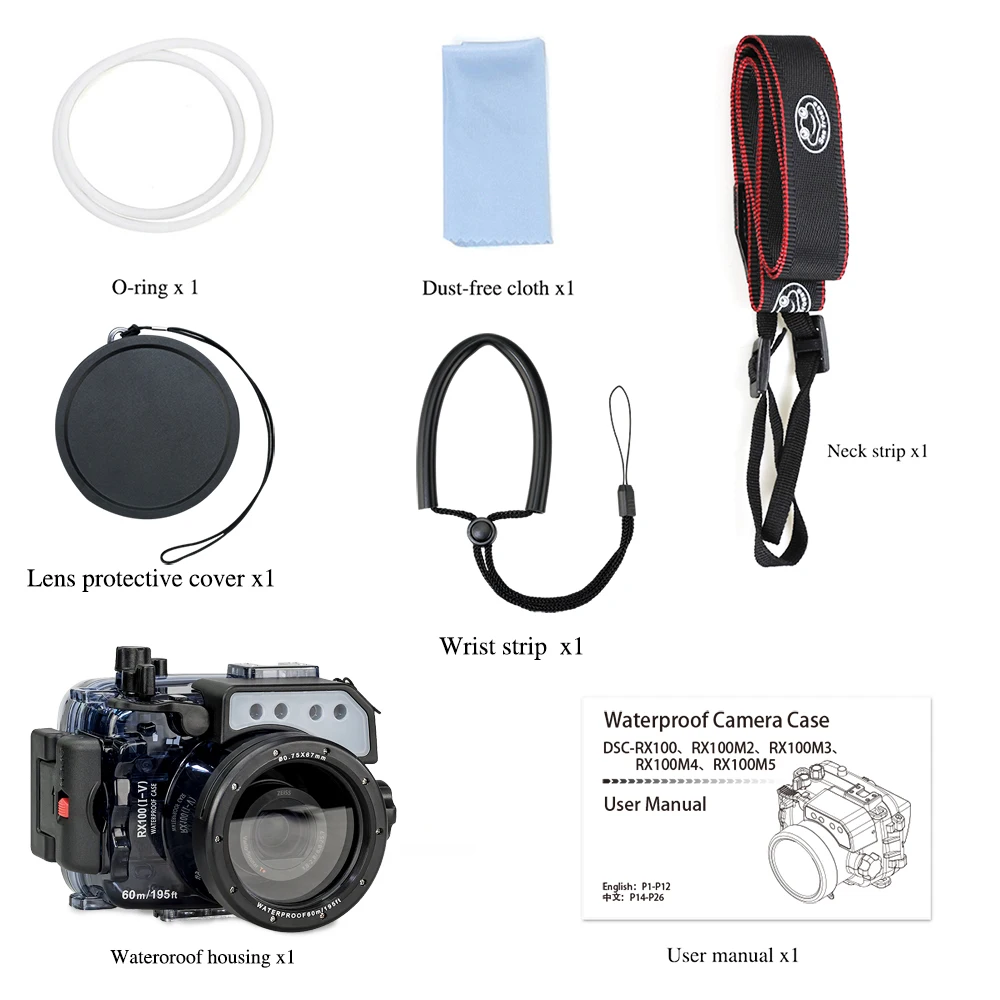 RX100V