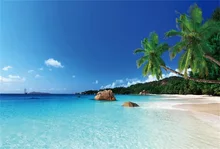 Laeacco Sea Beach Blue Sky Palm Tree Summer Scenic Photography Backgrounds Customized Photographic Backdrops For Photo Studio