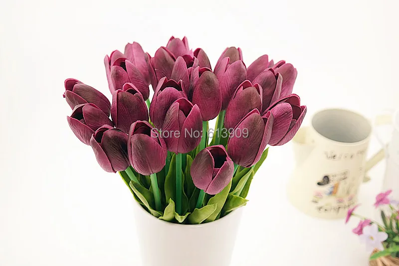 SAM_6480