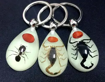 

free shipping yqtdmy 12 pcs Embedded Real Scorpion Ant Red Bean Specimens Luminous Keychain