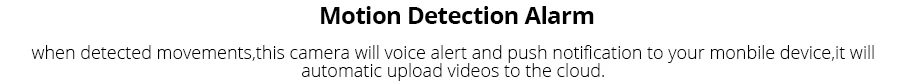 ip camera 11