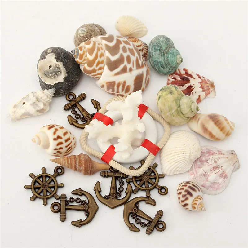 

KiWarm Mediterranean style DIY Vintage Fashion Beach Mixed Seashells Mix Sea Natural Shells Shell Craft Aquarium Decor Wholesale