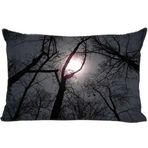 Лучшие наволочки на заказ moonlit_night(1)@ 1 спальня домашняя прямоугольная Наволочка на молнии(с одной стороны)@ 181205-05-01-17 - Цвет: Pillowcase