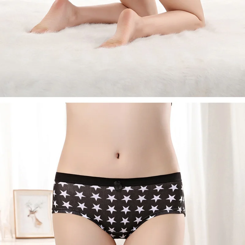 Briefs  (6)