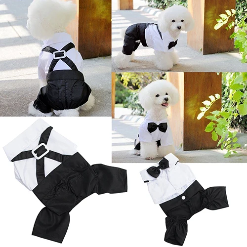 Горячее предложение! Новая модная одежда для собак и кошек смокинг для принца костюмная галстук-бабочка костюм щенка комбинезон пальто s-xxl