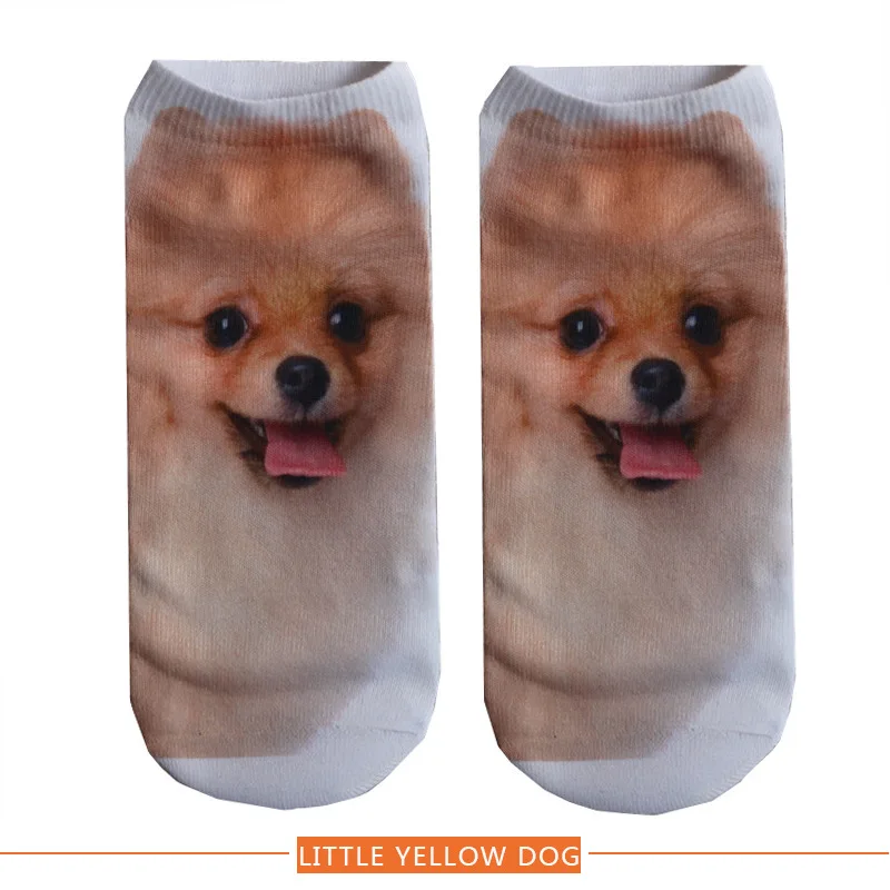 2766949375_1992417630