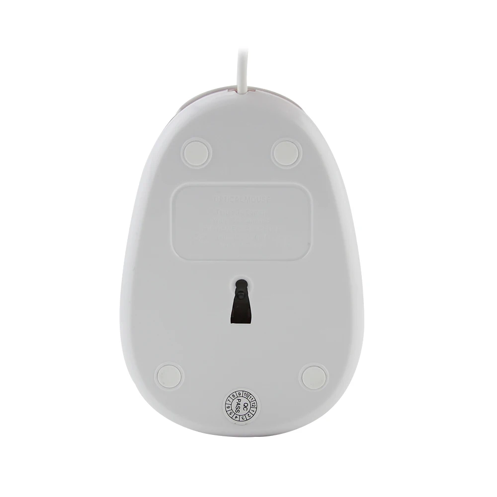 computer mouse