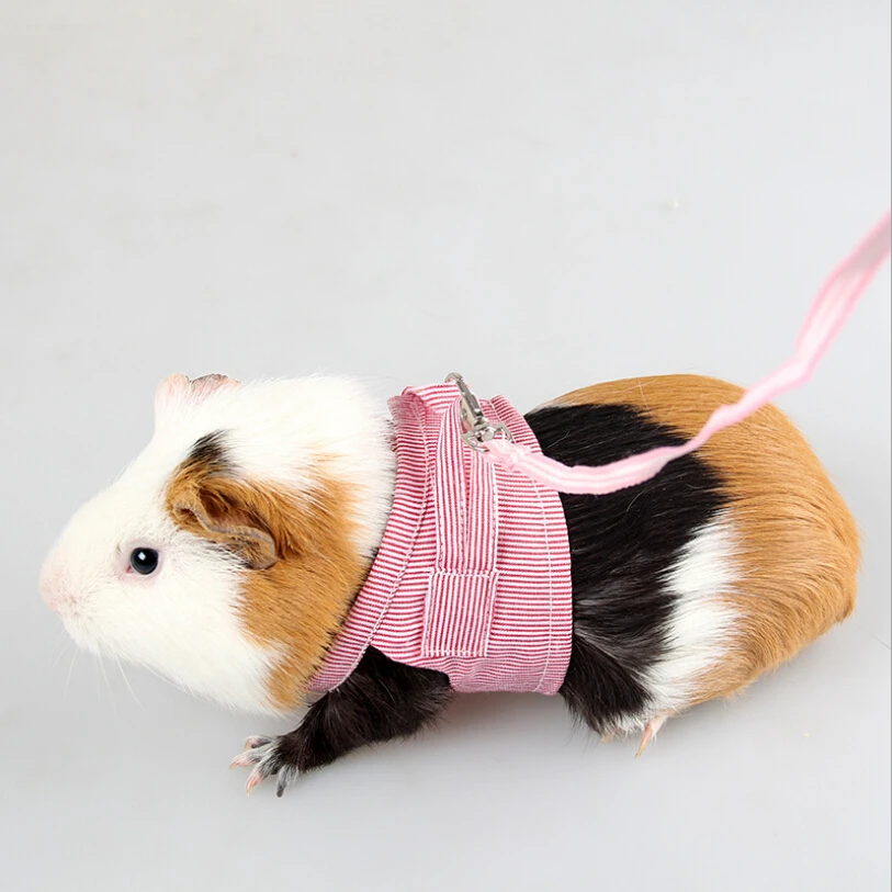 Small Pet Hamster Vest Leash Squirrel Rat Adjustable Rope Collar