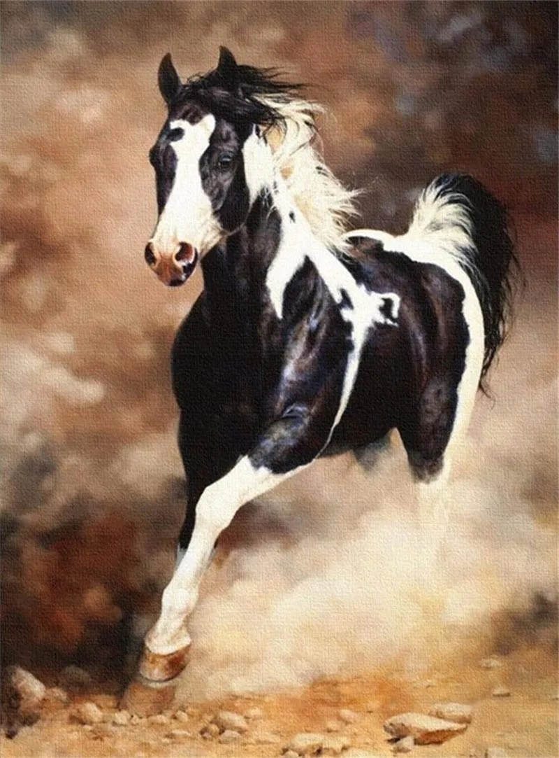 DIY масляной Набор для рисования по номерам для взрослых современный холст без рамы картины для гостиной краски по номерам животное лошадь P-0636 - Цвет: black and white