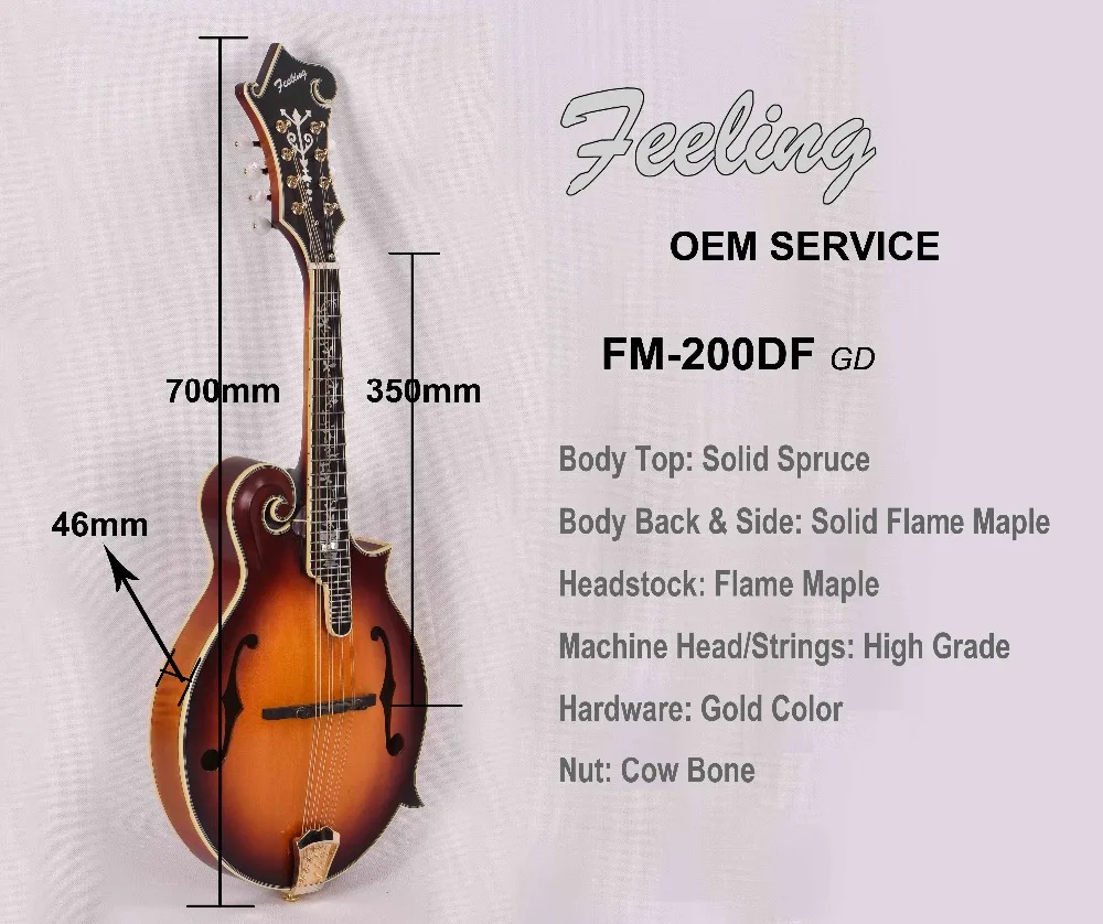 fm-200df GD