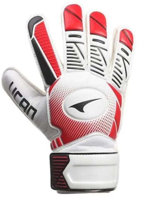 gk goalkeeper